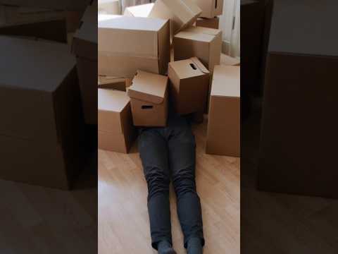 Thumbnail for genius logo ki aadat #shorts #facts by ALFA INFINITE 