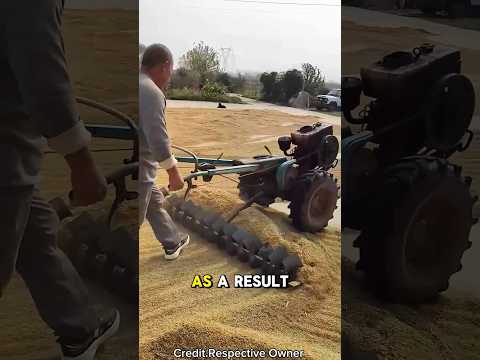 Thumbnail for Smart Rice Dryer 🌾🚜 by The Daniel Show