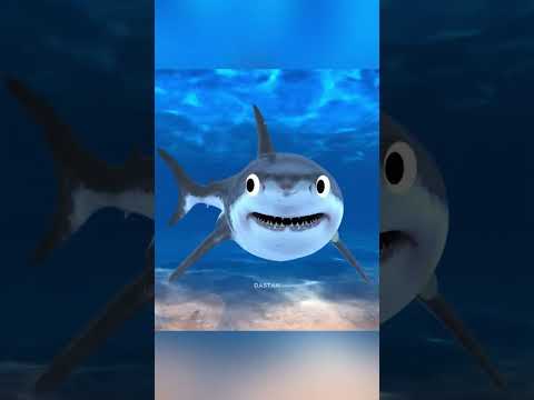 Thumbnail for Strongest Knife In The World by Facts Dastan