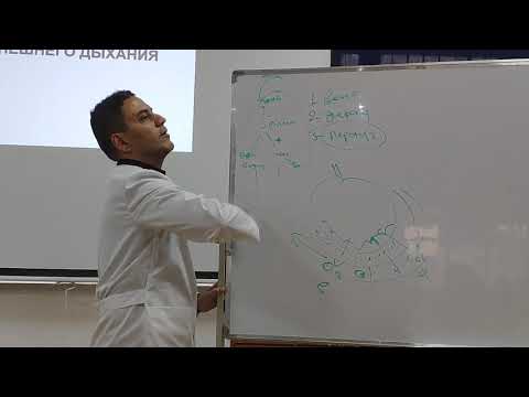 Thumbnail for Патофизиология дыхания - 1 by Лекции патологическая физиология