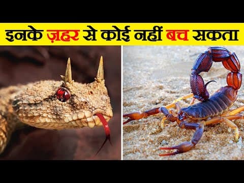 Thumbnail for दुनिया के सबसे जहरीले जानवर | Most Poisonous Animals in the World by Wild Gravity