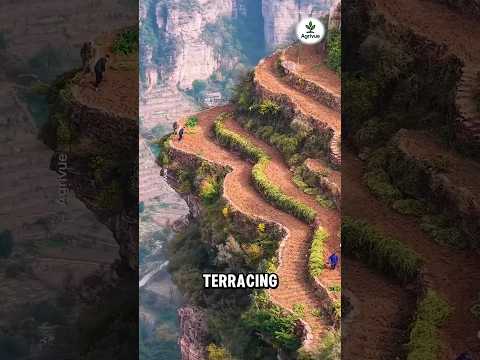 Thumbnail for From Barren Mountains to Green Farms. by Agrivue