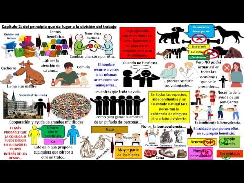 Thumbnail for La riqueza de las naciones - Resumen animado - capítulos 1 y 2 by Des-edúcate