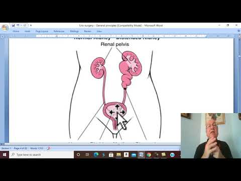 Thumbnail for Urosurgery in Arabic 3 (Urinary Stones (General Principles ), part 3 ) , by Dr. Wahdan by Learn with Dr. Wahdan 2