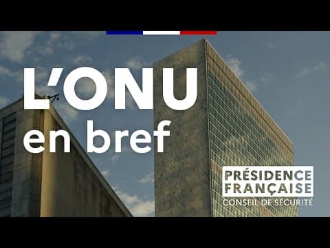 Thumbnail for Qu'est-ce que l'ONU ? by France ONU