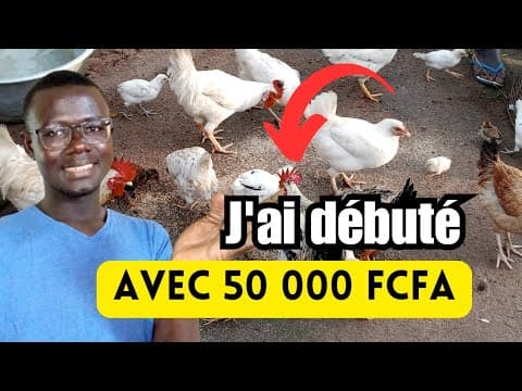 Thumbnail for Comment débuter l'élevage des Poules Locales avec 50 000 FCFA ? by Africa Breeding