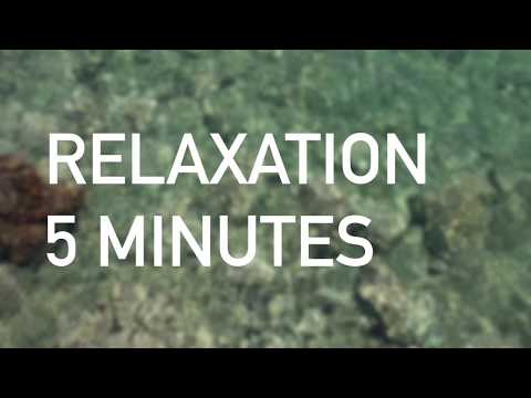 Thumbnail for Relaxation guidée en 5 minutes by ULB TV