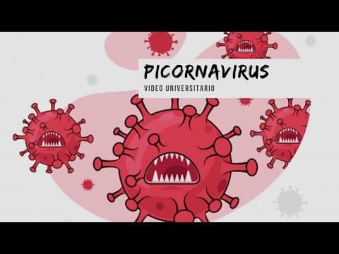 Thumbnail for Picornavirus 🦠 - Microbiología Clínica🧫 by Yohanis Paola