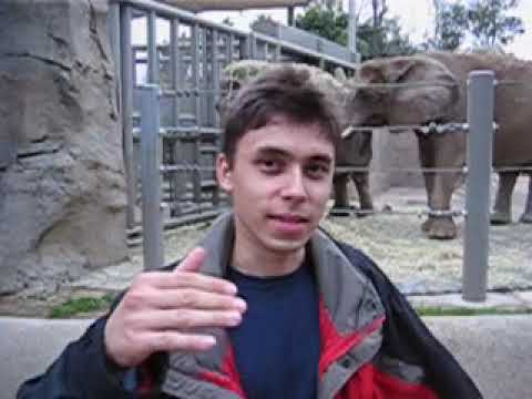 Thumbnail for Me at the zoo by jawed
