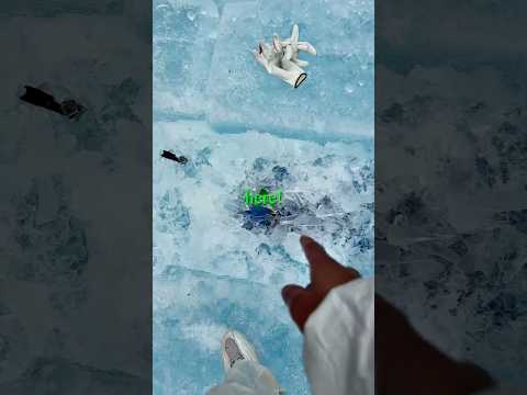 Thumbnail for 👀🧊 they found what was in Drake's ice by Music Media