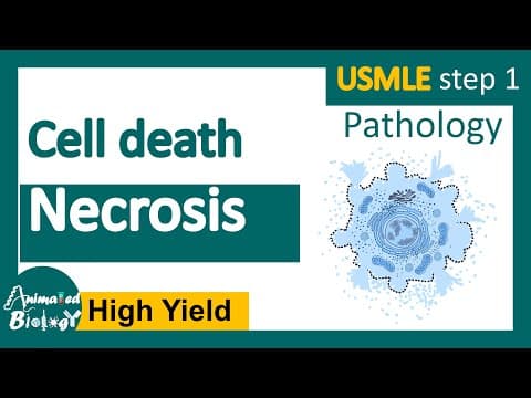 Thumbnail for Necrosis and its subtypes | Necrosis - Cell Injury - General Pathology | USMLE step 1 by Animated biology With arpan