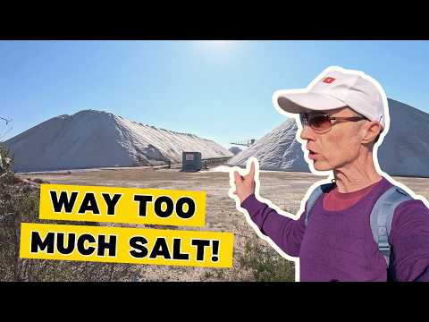 Thumbnail for Hitchhiking to Santa Pola's Salt Lakes and Flamingos by Patrick Ashton Travels