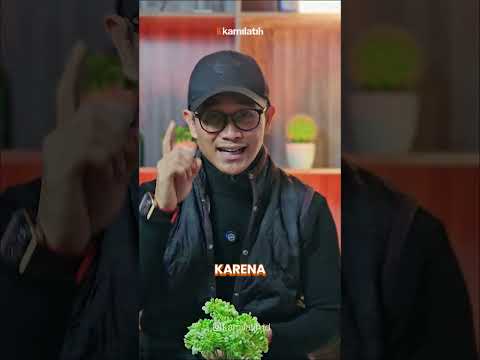 Thumbnail for Gunakan 5 tahapan ini agar penutupan presentasi anda menjadi keren🤩 by Riko Abu Alfatih