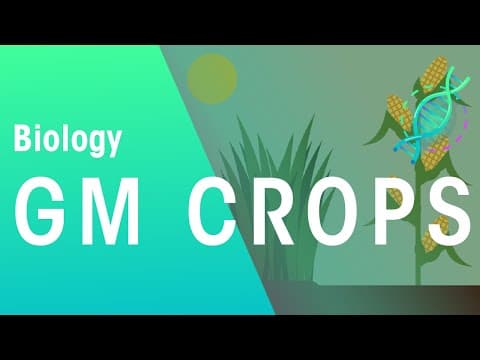 Thumbnail for GM Crops | Genetics | Biology | FuseSchool by FuseSchool - Global Education