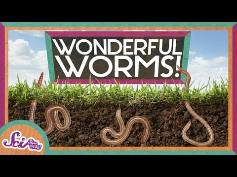 Thumbnail for Worms Are Wonderful | Amazing Animals | Backyard Science | SciShow Kids by SciShow Kids