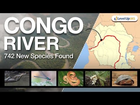 Thumbnail for Places in News: Congo River Basin | UPSC Prelims 2025 | LevelUp IAS by LevelUp IAS