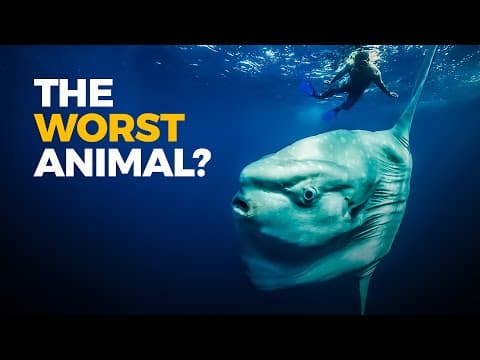 Thumbnail for The Insane Biology of: The Sunfish by Real Science