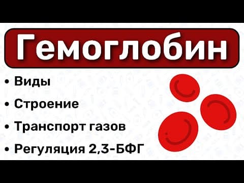 Thumbnail for Гемоглобин: строение, виды, перенос газов / БИОХИМИЯ by Академия Медицины