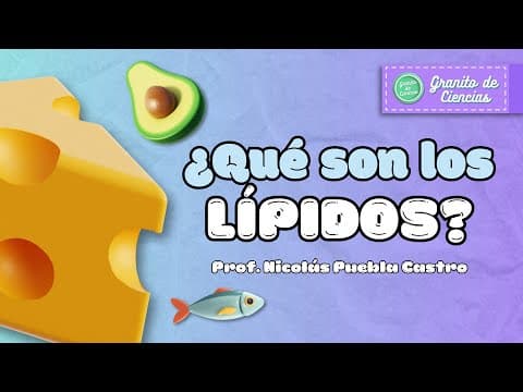 Thumbnail for LÍPIDOS en 3 MINUTOS!!! (Fácil y Rápido) by Granito de Ciencias
