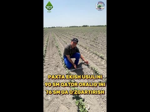 Thumbnail for PAXTA 90 ORALIG‘INI 76 GA O‘ZGARTIRISH #farming #agriculture #machine #farm #хлопок #qishloqxojaligi by TST-Agro Uzbekistan