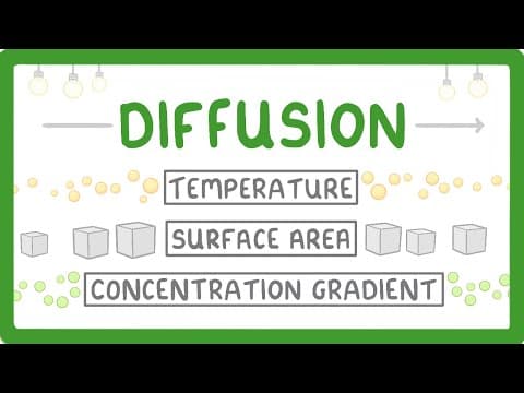 Thumbnail for What is Diffusion? How Does it Work? What Factors Affect it? (2026/27 exams) by Cognito