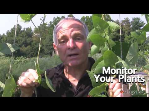 Thumbnail for Integrated Pest Management IPM Basics by Pacific Education Institute