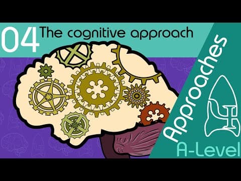 Thumbnail for The cognitive approach - Approaches [A-Level Psychology] by Psych Boost