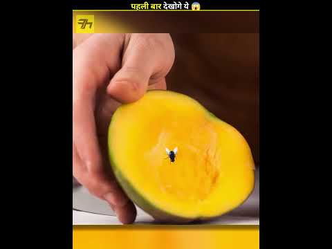 Thumbnail for How Flies Actually Eat Your Food 😱 by FactoHolic