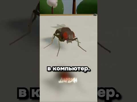 Thumbnail for Матрица для мухи by ПРЕМИЯ ДАРВИНА