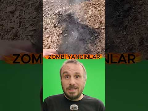 Thumbnail for Zombi yangınlara dikkat! by Uras Benlioğlu Artı