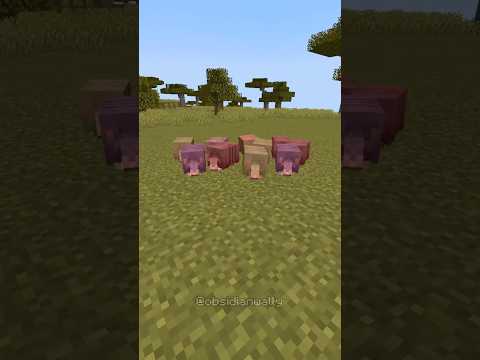 Thumbnail for ARMADILLO XP FARM #minecraft #minecraftbeauty #minecrafttutorial by wally