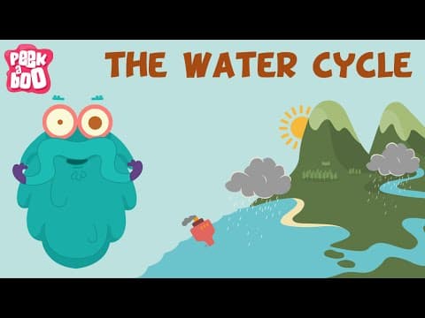 Thumbnail for The Water Cycle | The Dr. Binocs Show | Learn Videos For Kids by Peekaboo Kidz