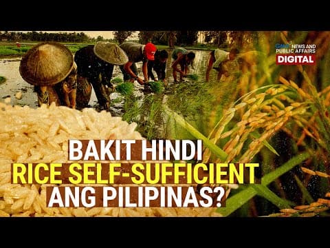 Thumbnail for Bakit hindi rice self-sufficient ang Pilipinas? | Need to Know by GMA News