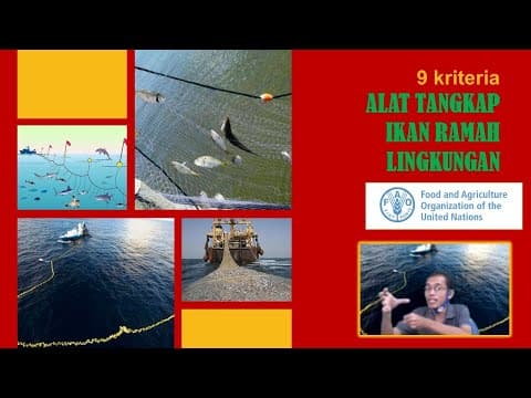 Thumbnail for 9 Kriteria Alat Tangkap Ikan Ramah Lingkungan by Yusep Channel