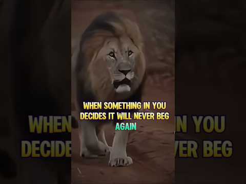 Thumbnail for God has been trying to tell you, do not drift on your faith #faith #motivation #mindset #wisdom by TheGuardianMind