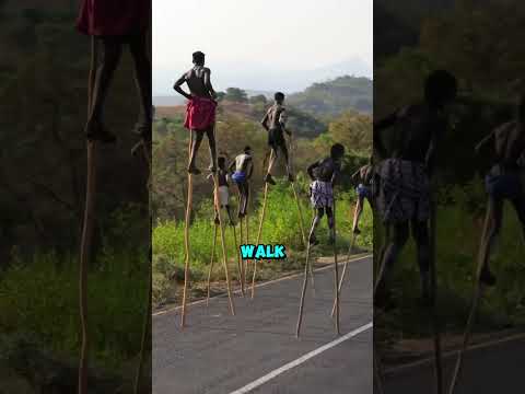 Thumbnail for #babyshorts by Fact Fusion