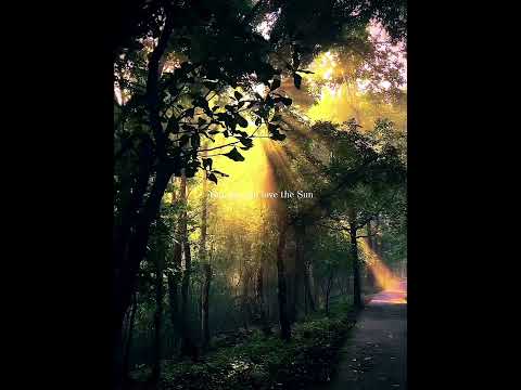 Thumbnail for You say that you love the sun but you find a shadow spot when the sun shines. by PSYCHO 27