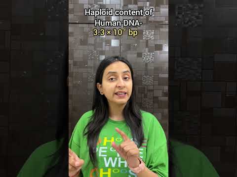 Thumbnail for Number of Nucleotides | Molecular Basis of Inheritance #neet #biology #shorts by Biology at Ease