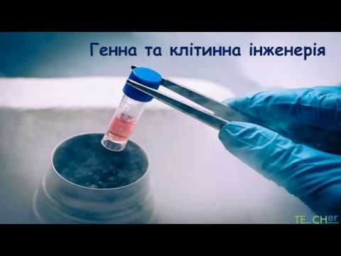 Thumbnail for Генна і клітинна інженерія by Tetiana Chychkovska
