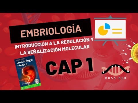 Thumbnail for CAP1-INTRODUCCIÓN A LA REGULACIÓN Y SEÑALIZACIÓN MOLECULAR-EMBRIOLOGÍA DE LAGMAN-RESUMEN-PODCAST by RossMed Resumenes