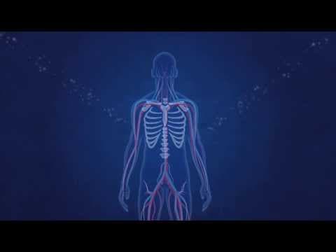 Thumbnail for Les effets des rayonnements ionisants sur le corps humain by Lucie Sebille