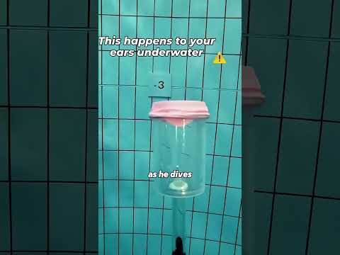 Thumbnail for Why You Must Equalize 😳 #shorts by Twin Stories