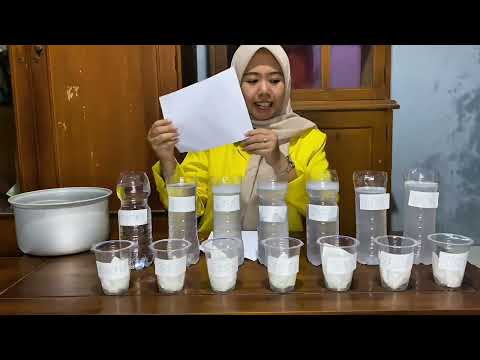 Thumbnail for PRAKTIKUM IPA DI SD|PENGARUH DETERJEN TERHADAP PERKECAMBAHAN KACANG HIJAU by Merlin Ambarwati