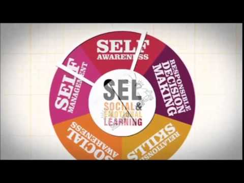 Thumbnail for The five social and emotional competencies by KidsMatterAustralia