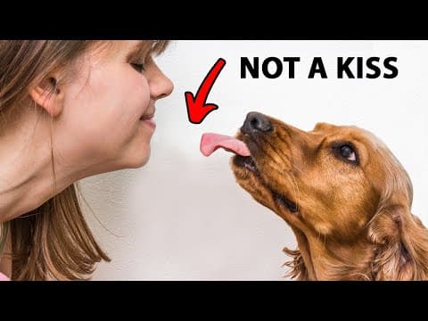Thumbnail for The Real Reason Dogs Lick You Is Disgusting by Doggy Digs