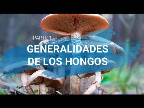 Thumbnail for Generalidades de los hongos || Micología || Parte1 by Quimix C