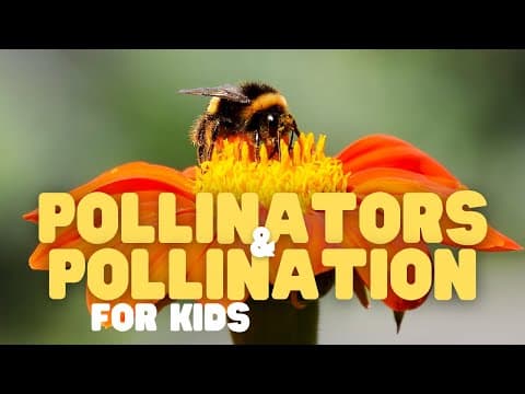 Thumbnail for Pollinators and Pollination for Kids | Fun facts about pollination and who's responsible! by Learn Bright