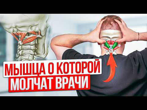 Thumbnail for Расслабь ШЕЮ за 5 минут! Как 4 мышцы влияют на боль в ШЕЕ by Доктор Малышев
