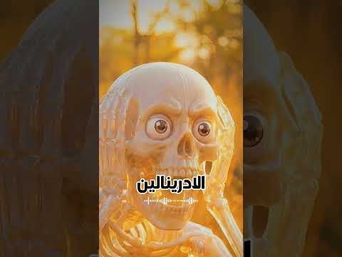 Thumbnail for عاش مع الأسود 22 سنة.. شوف النهاية! 🤯 by صندوق