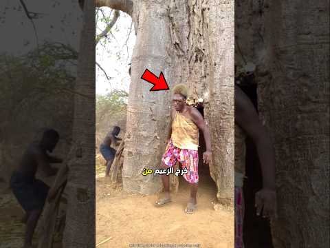 Thumbnail for اعتقد الجميع أن زعيم القبيلة شجاع ولكن.. 😮 #shorts by Wissada